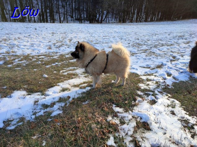 15.1.2024 - Der erste Schnee im Jänner